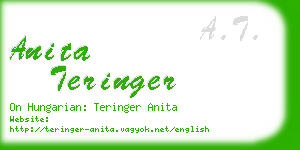anita teringer business card